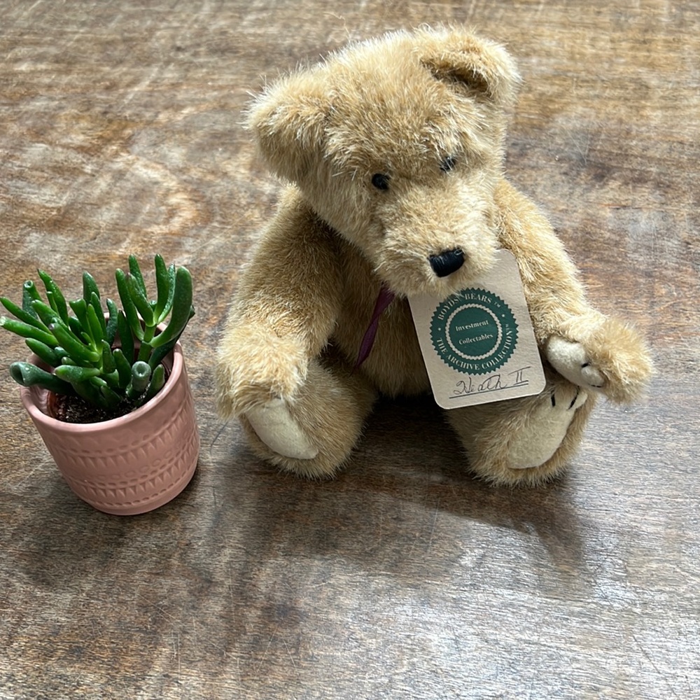 Boyd’s bears collectiable Heath II 1990’s 10 inch fully jointed cute face NWT